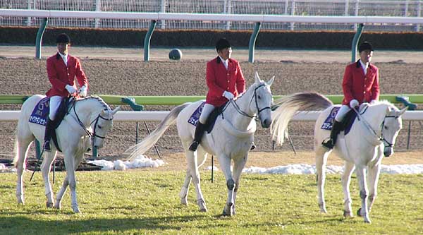 オイワケギンセカイ